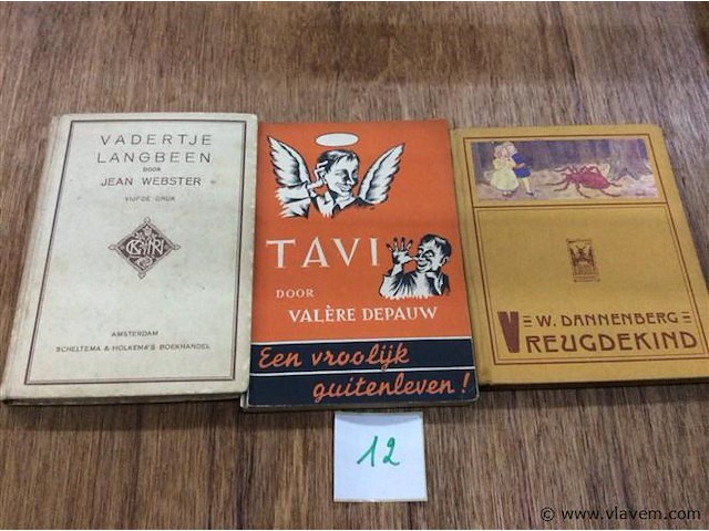 Boeken oa vadertje langbeen - afbeelding 1 van  2