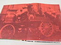 Boeken over steiff beren - afbeelding 9 van  33