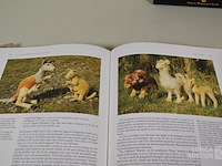 Boeken over steiff beren - afbeelding 33 van  33