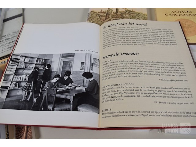 Boeken: thema "limburg" - afbeelding 3 van  27