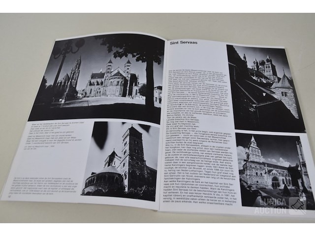 Boeken: thema "limburg" - afbeelding 11 van  27