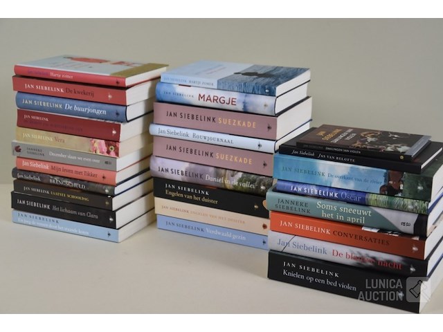 Boeken: thema "romans" - afbeelding 1 van  5