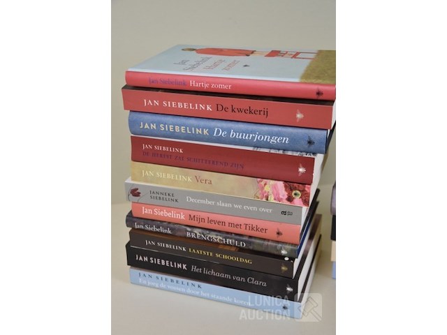 Boeken: thema "romans" - afbeelding 2 van  5