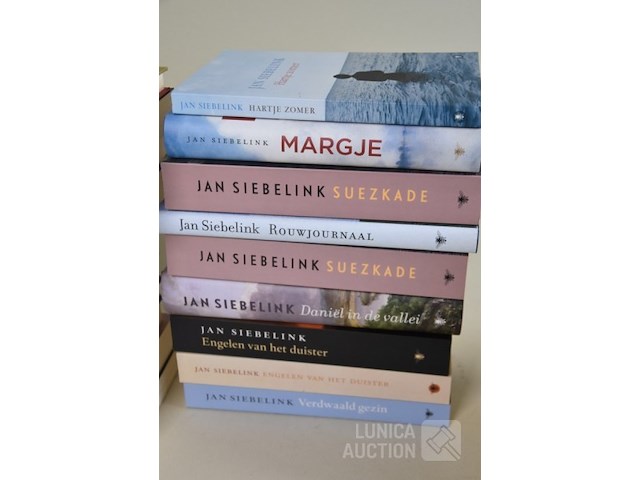 Boeken: thema "romans" - afbeelding 3 van  5