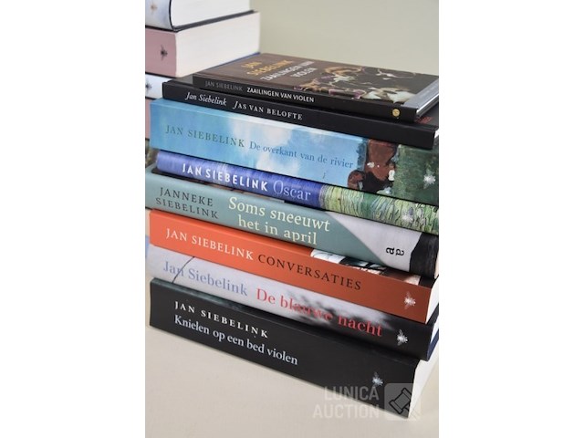 Boeken: thema "romans" - afbeelding 4 van  5