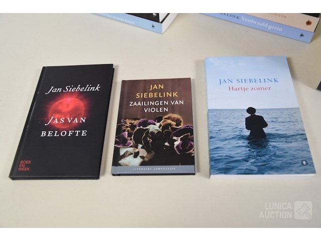 Boeken: thema "romans" - afbeelding 5 van  5