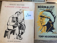 Boeken vlaamse schrijvers divers 5stuks - afbeelding 3 van  3