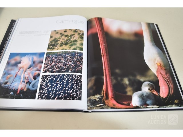 Boeken wwf - afbeelding 2 van  12