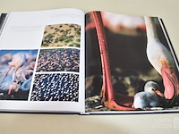 Boeken wwf - afbeelding 2 van  12