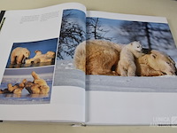 Boeken wwf - afbeelding 6 van  12