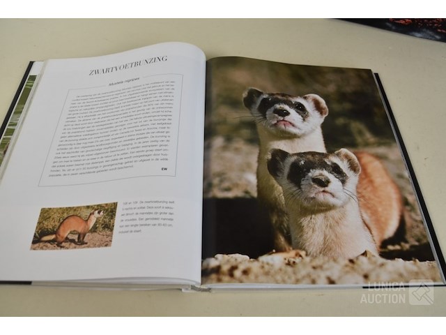 Boeken wwf - afbeelding 7 van  12
