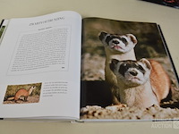 Boeken wwf - afbeelding 7 van  12