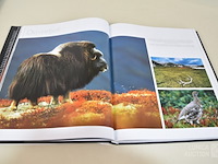 Boeken wwf - afbeelding 12 van  12