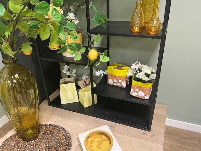 Boekenkast (2x) - afbeelding 4 van  7