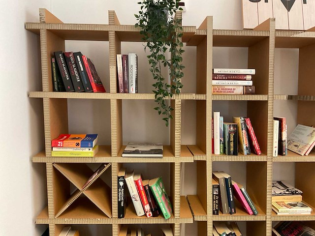 Boekenkast met inhoud (3x) - afbeelding 2 van  6