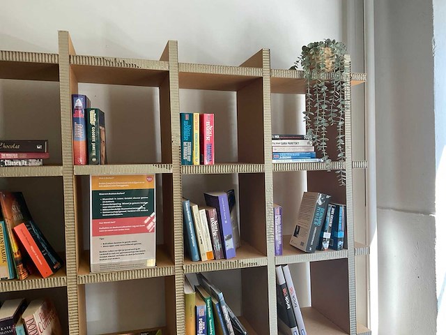 Boekenkast met inhoud (3x) - afbeelding 6 van  6