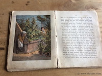 Boekje de camelia ( besch) - afbeelding 2 van  3