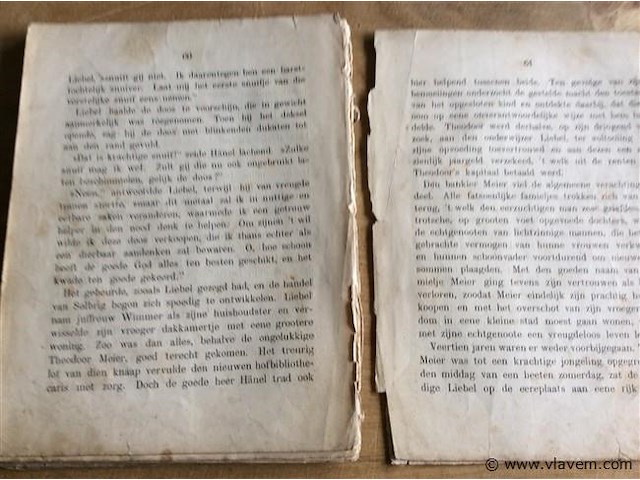 Boekje de camelia ( besch) - afbeelding 3 van  3