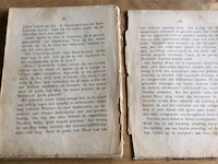 Boekje de camelia ( besch) - afbeelding 3 van  3