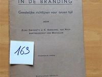 Boekje : de priester in de branding