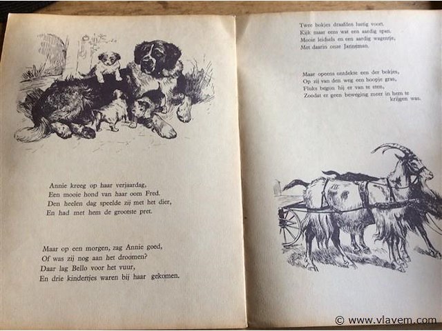 Boekje: onze huisdieren - afbeelding 3 van  3