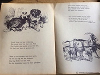 Boekje: onze huisdieren - afbeelding 3 van  3