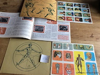 Boekjes de wereld in beeld 3stuks - afbeelding 2 van  2