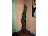 Boelens - kunst cactus - afbeelding 2 van  3