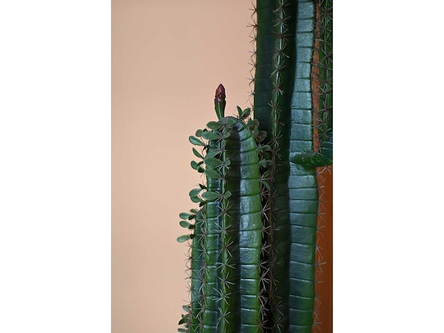 Boelens - kunst cactus - afbeelding 3 van  3