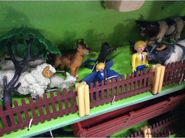 Boerderijdieren + - afbeelding 3 van  3
