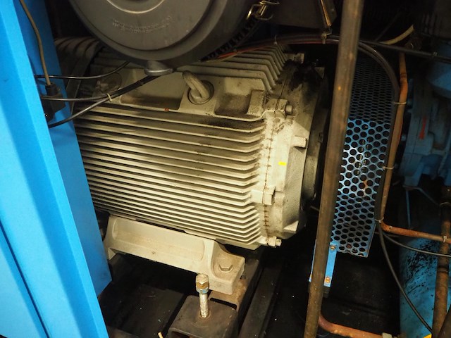 Boge - afbeelding 16 van  16