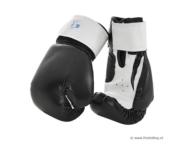 Bokszak set - afbeelding 6 van  9