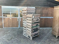 Bollenkratje (39x)