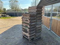 Bollenkratje (39x) - afbeelding 2 van  3