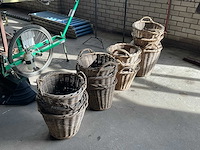 Bollenmand (12x) - afbeelding 1 van  3