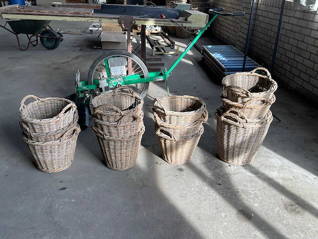 Bollenmand (12x) - afbeelding 2 van  3