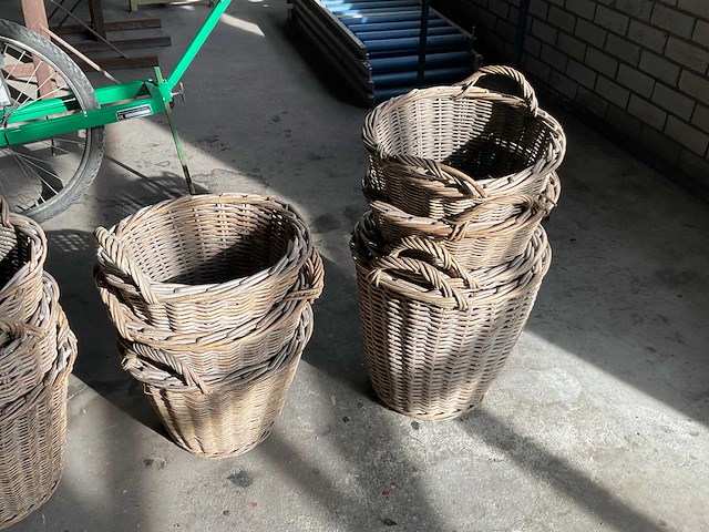 Bollenmand (12x) - afbeelding 3 van  3