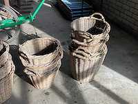 Bollenmand (12x) - afbeelding 3 van  3