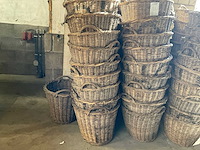 Bollenmand (70x) - afbeelding 3 van  5