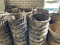 Bollenmand (70x) - afbeelding 4 van  5