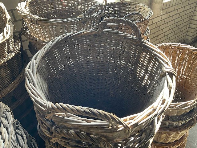 Bollenmand (70x) - afbeelding 5 van  5