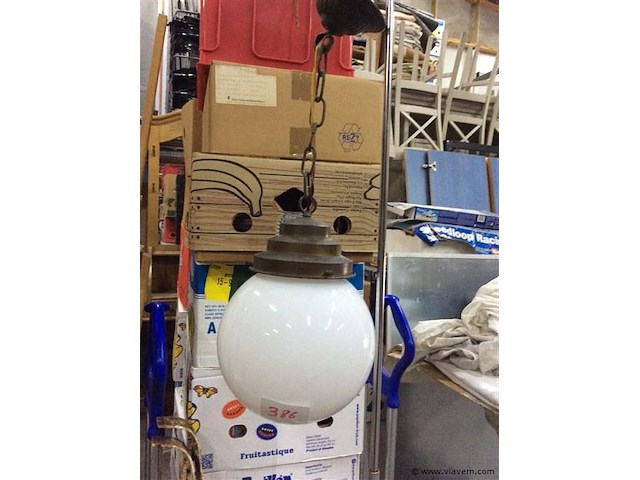 Bolluchter - afbeelding 1 van  3