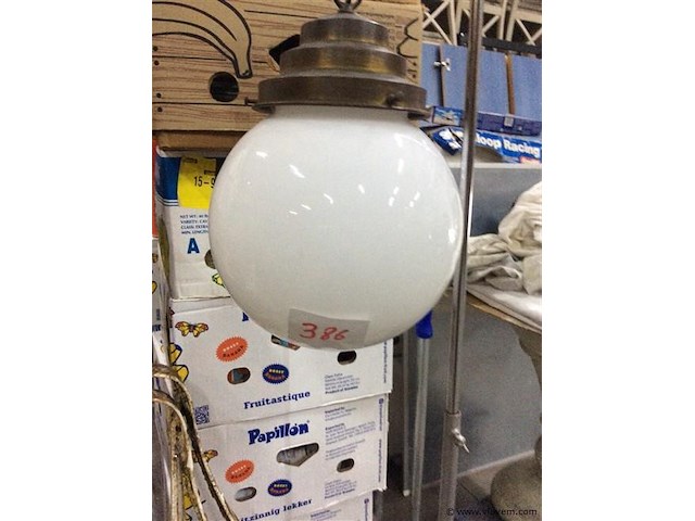 Bolluchter - afbeelding 2 van  3