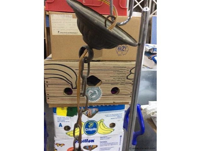 Bolluchter - afbeelding 3 van  3