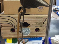 Bolluchter - afbeelding 3 van  3