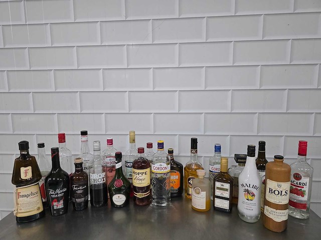 Bols / tia maria / vieux, etc sterke drank fles (24x) - afbeelding 1 van  5
