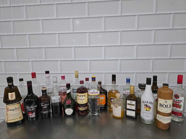 Bols / tia maria / vieux, etc sterke drank fles (24x) - afbeelding 2 van  5