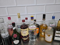 Bols / tia maria / vieux, etc sterke drank fles (24x) - afbeelding 4 van  5