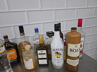 Bols / tia maria / vieux, etc sterke drank fles (24x) - afbeelding 5 van  5