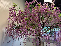 Bonen bloem treurwilg kunstboom - afbeelding 3 van  27